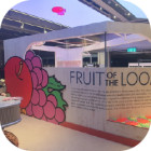 프룻오브더룸 EQL…